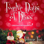 Twelve Days Of Bliss - Christmas Instrumentals (Vol. 2)