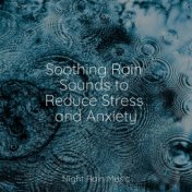 Soothing Rain Sounds to Reduce Stress and Anxiety