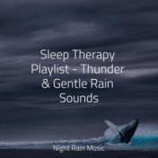 Sleep Therapy Playlist - Thunder & Gentle Rain Sounds