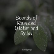 Sounds of Rain and Water and Relax