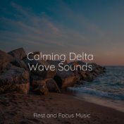 Calming Delta Wave Sounds