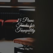 25 Piano Tracks for Tranquility