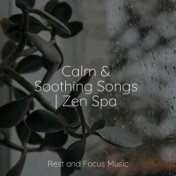 Calm & Soothing Songs | Zen Spa