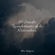 50 Sonidos Reconfortantes de la Naturaleza