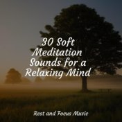 Essential Meditation Melodies