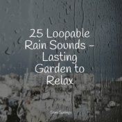 25 Loopable Rain Sounds - Lasting Garden to Relax