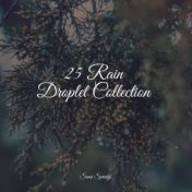 25 Rain Droplet Collection