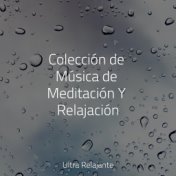 Colección de Música de Meditación Y Relajación