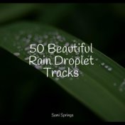 50 Beautiful Rain Droplet Tracks