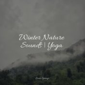 Winter Nature Sounds | Yoga