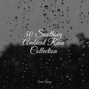 50 Soothing Ambient Rain Collection