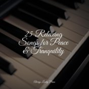 25 Relaxing Songs for Peace & Tranquility