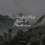 50 Spa for Sleep Rain & Meditation