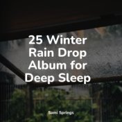 25 Winter Rain Drop Album for Deep Sleep