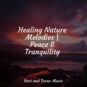 Healing Nature Melodies | Peace & Tranquility