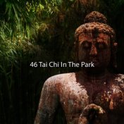 46 Tai Chi In The Park