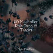 60 Trickling Rain & Water Sounds