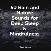 50 Rain and Nature Sounds for Deep Sleep & Mindfulness