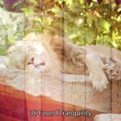 36 Found Tranquility