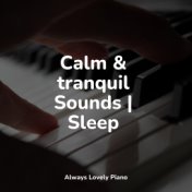 Calm & tranquil Sounds | Sleep