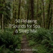 50 Relaxing Sounds for Spa & Sleep Mix