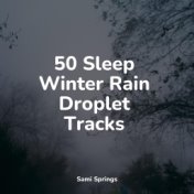 50 Sleep Winter Rain Droplet Tracks