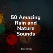 50 Amazing Rain and Nature Sounds