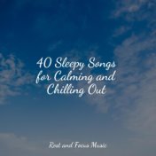 40 Sleepy Songs for Calming and Chilling Out