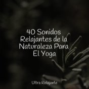 40 Sonidos Relajantes de la Naturaleza Para El Yoga