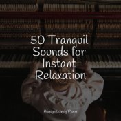 50 Tranquil Sounds for Instant Relaxation