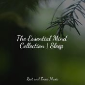 The Essential Mind Collection | Sleep