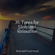 35 Tunes for Sleep and Relaxation