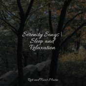 Serenity Songs | Sleep and Relaxation