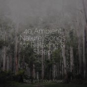 40 Ambient Nature: Songs for Relaxing & Sleep
