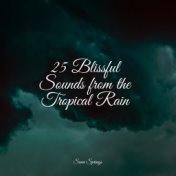 25 Blissful Sounds from the Tropical Rain