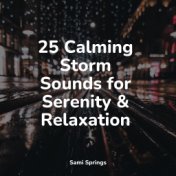 25 Calming Storm Sounds for Serenity & Relaxation