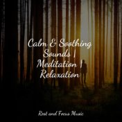Relieving Melodies | Peaceful Sleep