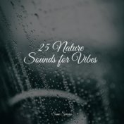 25 Nature Sounds for Vibes