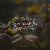 50 Calming Rain Tracks for Restful Sleep