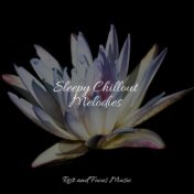 Sleepy Chillout Melodies