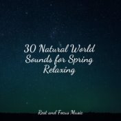 30 Natural World Sounds for Spring Relaxing