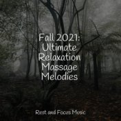 Fall 2021: Ultimate Relaxation Massage Melodies