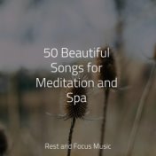 50 Beautiful Songs for Meditation and Spa