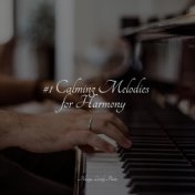 #1 Calming Melodies for Harmony