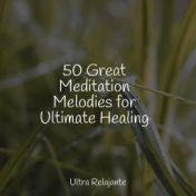 50 Great Meditation Melodies for Ultimate Healing