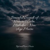 Peaceful Sounds of Nature | Calm Melodies | New Age Music