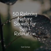 50 Relaxing Nature Sounds for Spa & Relaxation