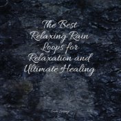 The Best Relaxing Rain Loops for Relaxation and Ultimate Healing