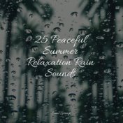25 Peaceful Summer Relaxation Rain Sounds