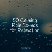 50 Calming Rain Sounds for Relaxation